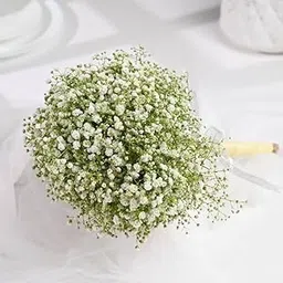 FlowerAura Fresh Live Flower Bouquet of White Gypsos Flowers For Birthday & Anniversary Gift, Mother's Day Gift, Romantic Gift, Father's Day Gift & Bridal Bouquet For Bride (Same Day Delivery)-image-39