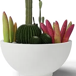 YUCCABE ITALIA Pots for Plants Highly Durable Polymers Lightweight Indoor Outdoor Plant Pots, Flower Pot Gamla Tree Planter Container Planters for Living Room, Balcony, Garden (10-INCH, White)-image-11