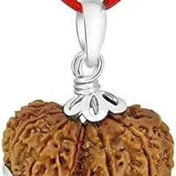 gemstone gallery A1 Quality Gori Shankar Rudraksha Original Certified Gauri Shankar Rudraksha Nepali Beads नेपाली गौरी शंकर रुद्राक्ष Gaurishankar Rudraksha Pendant Shiv Parvati Rudraksha For Chanting-picture-37