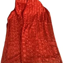 Warm Worth Light Weight Sequin Embroidery Dupatta-picture-14