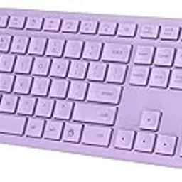 LeadsaiL Purple Wireless Keyboard, 2.4GHz Full-Sized Ergonomic Computer Keyboard, Cordless Noiseless Keyboard,12 FN Shortcuts for Windows MacOS Laptop Computer-picture-25