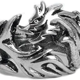 oomph Jewellery Silver Stainless Steel Vintage Gothic Dragon Biker Ring for Men & Boys (RFQ18R3)-picture-26