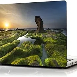 Yellow Alley Nature Laptop Sticker|Greenery|Easy to Apply|Upto 15.75"|1Pc-picture-12