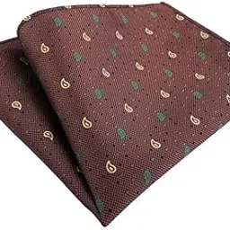 kacheeg Men’s Cravat Tie & Pocket Square | Paisley Floral Jacquard Woven Scarf | Polyester Ascot Neckwear. image 1