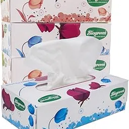 Biogreen Face Tissues, 2ply, 100 Pulls, Pack of 4 | 100 Pulls X 2 Ply = 200 Sheets/Box-picture-17