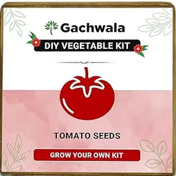 Vegetable Grow Kit | Tomatto seed - DIY Grow it Yourself Gardening Kit for Home and Garden | Tomato Seeds Gardening Kit-image-16