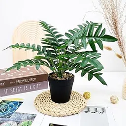 Artificial Palm Plant with Pot| Fake Green Indoor Plant for Home, Living Room, Bedroom, Office, Table and Corner Décor| Plant Decoration for Housewarming, Gifting and Party Use-image-1