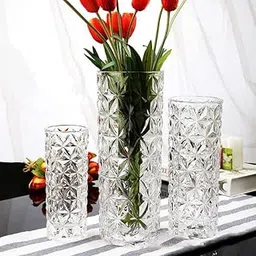 8 Inch Glass Flower Pot, Crystal Clear Vase for Living Room, Decoration for Home, Jar for Plants Indoor, Bedroom, Office, Cafe-picture-26