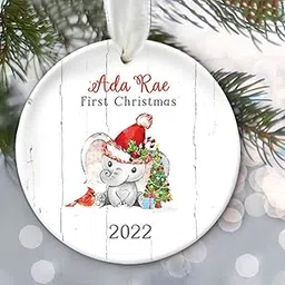 Touber Elephant Baby Stats Ornament, Baby Keepsake Ornament Babys First Christmas Ornament Personalized Baby Boy Gift or Baby Girl Gift Newborn Keepsake-picture-21