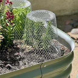 secret desire SECRET DESIREGarden Plant Cloche Reusable Lightweight Metal Landscape Plant Cover-picture-25