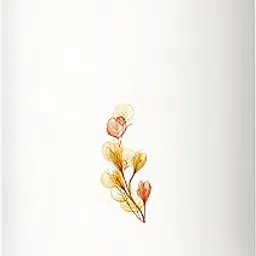 Sujata Geyser 25 Litre | 7 Years Warranty on Tank | Water Geyser, Water Heater, Electric Geyser, 5 Star Rated, Multiple Safety Systems, Free Installation with Inlet-Outlet Pipes (White - 2000W)-picture-23