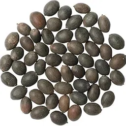 Lotus Seeds for Planting, Japanese Hybrid Variety, (35Seeds) Pack, 95% Germination Rate, Kamal Gatta Beej-picture-34