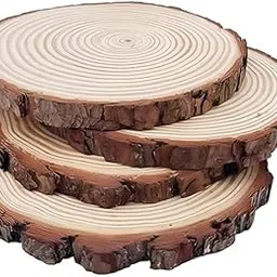 Wood Coasters with Holder Wooden Log Coaster/Slices with Bark – 4 inch Wood (Large,150, Gram) Set of 10-picture-27