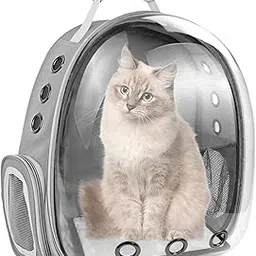 JELLEX Pet Transparent Cat & Small Dog Puppy Kitty Shihtzu Breathable Carriers for Breathable Airline Travel Approved Air Ventilation Backpack Size(31.8L x 25.4W x 41.9H Centimeters) (Grey)-picture-49