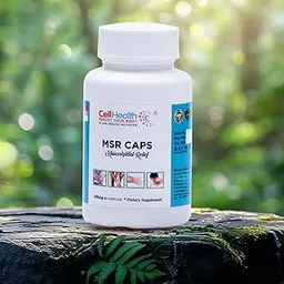 MSR Capsule 250mg | Max Strength 1,000mg of 65% Boswellic Acid Extract | Boswellia Extract Capsules with Chikitsayam Curcumin 100mg | Joint Support Supplement for Mobility & Flexibility | 60 Veg Capsules-picture-39