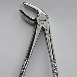 Dental Polodent Upper Molar Left No. 04-picture-23