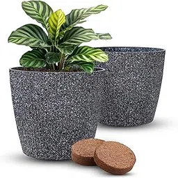Eco Pots | Small & Big Size Home Planters for Indoor & Garden Decor | Pack of 2 (Black, Large)-picture-10