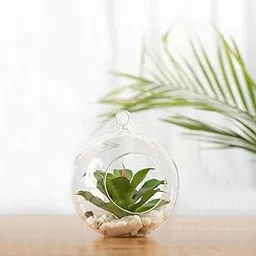 Tealight Glass Candle Holders Hanging Glass Planters for Indoor and Outdoor Decoration, Hanging Glass pots for Plants, Home Decor (4' inch) (Hanging Glass Ball, 1)-picture-24