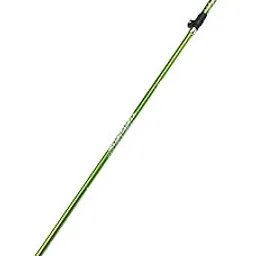 LOOM TREE® Walking Cane Tungsten Steel Tip Hiking Pole for Backpacking Camping Trekking Green | Outdoor Sports | Camping & Hiking | Hiking Gear | Walking & Trekking Sticks image 1