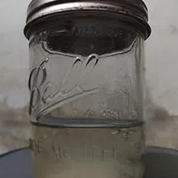 Jedi Mind Fuck Mushroom Isolated Spore Syringe 10ml - Perfect for Mushroom Enthusiasts-picture-30