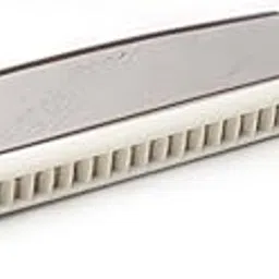 SAI MUSICALS Tower M1015 C-Key 24-Hole Harmonica with Scale Changer, Steel and White-image-33