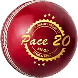DSC Pace 20 Cricket Leather Ball (Red)-picture-57