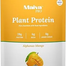 Maiva Pro | Plant Protein Isolate - Alphonso Mango - 1kg | 28g Protein, 6g BCAA | All Essential Amino Acids | Gut Friendly, Easy to Digest | Vegan, Dairy Free, No Preservatives-image-6