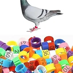 SANSEFERO 100 Pcs Birds Leg Ring for Pigeons & Other Birds Numbered Bird Rings for Spotting Poultry Leg Bands Spotting Bird Rings (Pigeon Rings)-picture-27