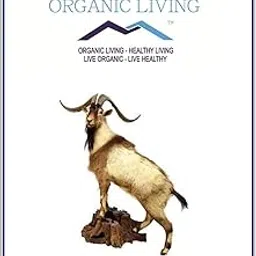 Mystique Hills Goat Milk Powder 100 g-picture-47