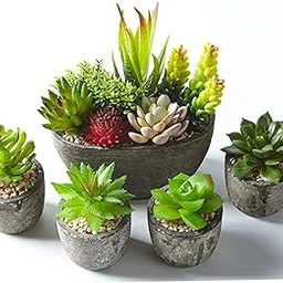 ONE MITTII Artificial Plants Set of 5 Artificial Succulents with Pots, Colourful and Decorative Fake Succulents with Stones Ideal for Home Office and Outdoor Bathroom Bedroom Decor-picture-32