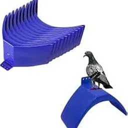 Pet & Vet Pigeon Stand Plastic Material (Pack of 5) (Colour May Vary)-picture-29