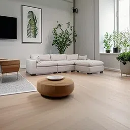 LA-VILLA SOFAS 3 +1 Puffy Attached Teak Wood Sofa Set For Living Room & Office Use Light Grey (Model-0050)-picture-11