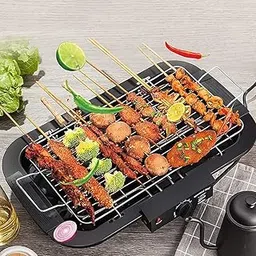 GION Electric Barbecue Grill 2000 Watt Smokeless Portable Adjustable Temperature Control Indoor and Outdoor barbeque grill for Home Travel (1Pcs)-picture-26