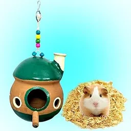 JAINSONS Pet Products Natural Earthenware Hamster Hiding House Pet Cave Small Animal Cage Habitat Decor Hanging House for Guinea Pig, Mice, Gerbils, Hamsters with 500g Bedding-image-24