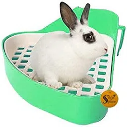 Sage Square Jumbo Size Litter Tray Cum Potty Training for Rabbit/Guinea Pig/Ferret (Green)-image-56