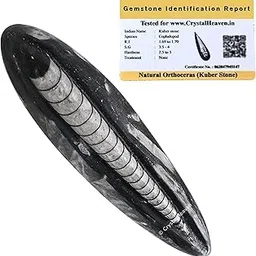 Kuber Stone Original Certified with Lab Report - Premium Orthoceras Crystal for Spiritual and Healing Purposes, Meditation and Energy Balancing - Suitable for Pooja, Vastu (2-3 inches)-picture-22