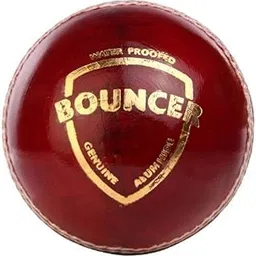 SG Bouncer Leather Balls (Pack of 12),-picture-48