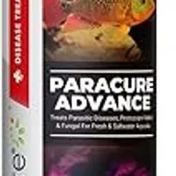 AquaNature® Paracure Advance Treats Parasitic Diseases,Protozoan Velvet & Fungal Infection for Fresh & Saltwater Aquarium (250ml)-picture-35