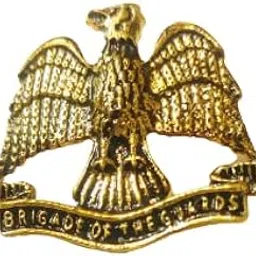 Indian Army Lapel Pin/Badge-picture-50