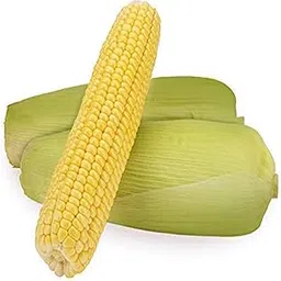 Fresh Sweet Corn -1Piece-image-31