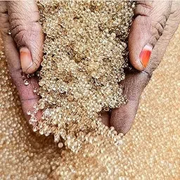 SSKR Crystal Soil Water Balls Rubber Jelly Beads Growing Jelly for Plants - 50 Grams | Big Size (Transparent Color)-picture-14