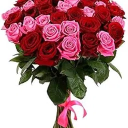 Floral Fantasy® Fresh Flower Bouquet Arrangement For Mother's Day Gift (Bunch Of 50 Red & Pink Roses)-picture-21