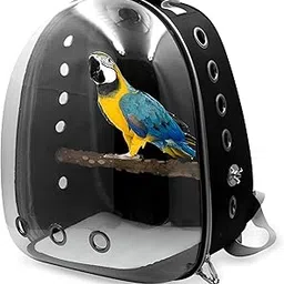 GTC Transparent Bird Carrier Backpack for Parrot Small Pets Travel Bag with Antilost Hook Nonslip Pad Breathable Lightweight Design (AT-57) (Black)-picture-30