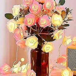 Homesake® String Light 14 LED Indoor Outdoor Fairy Lights for Room Decorations, Diwali Decoration for Home, Festive Decor, Diwali Light for Decoration for Home (Mix Colour Rose) Plug in 5 M-picture-31