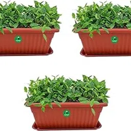 ALTRUIST Rectangle Royal Planter Pots with Tray No-1(Small) Terracotta Color (Pack of 3)-image-37