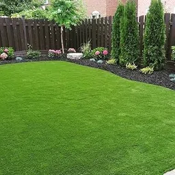 Imported American Bermuda Lawn Grass Seeds - Fast Growing and Durable | Bermuda Grass Seed for garden, lawn, sports Ground (PACK OF 5 GRAM)-image-8