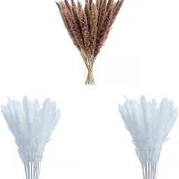 Set of 3 Phragmites Dried Pampa Bouquet Boho Fall Decor for Branches Wedding|Home & Garden | Home D?©cor | Floral D?©cor-picture-17