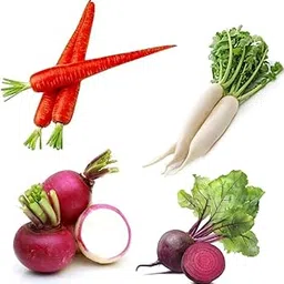 PS Agro Input Hybrid Beetroot, Turnip, Carrot with Radish Seeds Combo | Perfect for Home Gardening, Planting, Farm | Chukandar, Shaljam, Gajar, Mooli Seeds (100g)-image-0