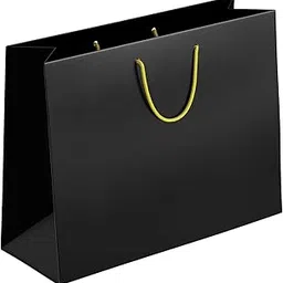 Plain Paper Bags - 14 x 10.5 x 4 inch (black-5)-image-41