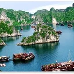 REGALOCASILA Souvenir Fridge Magnet Vietnam Country Design Print Home Decoration Kitchen Decor Accessories-picture-20
